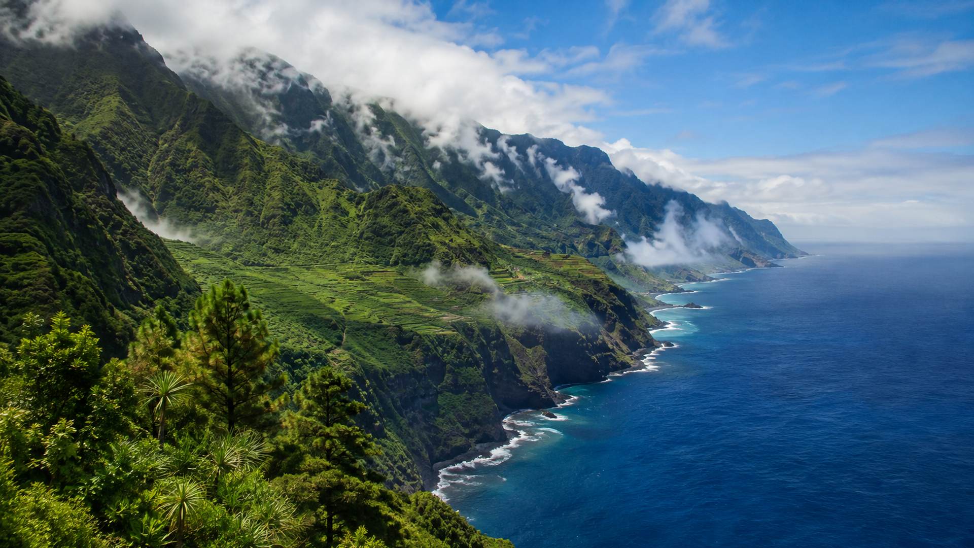 Costa verde de Barlovento en La Palma