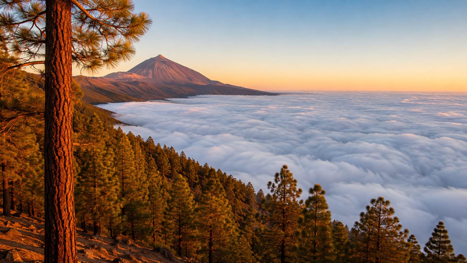 Paisaje de Tenerife