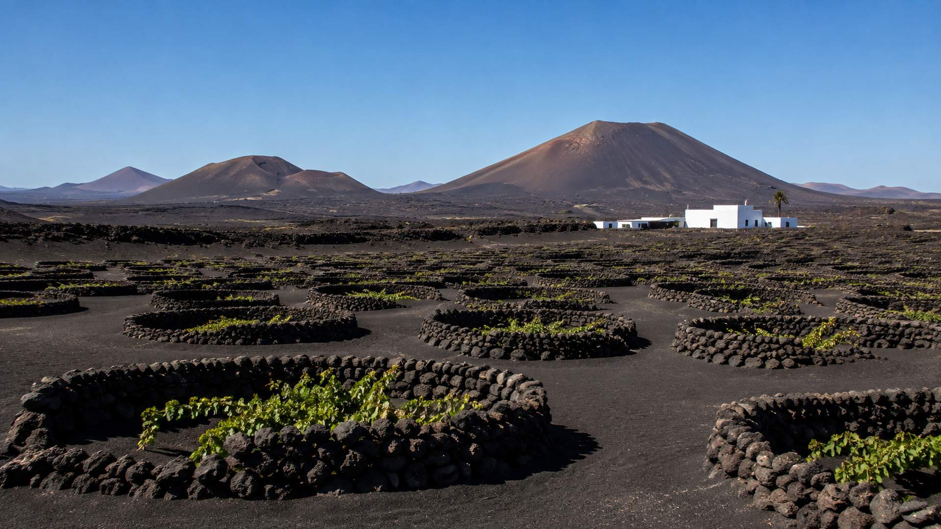 Paisaje volcánico de Lanzarote